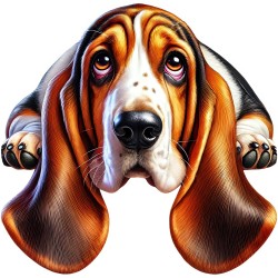 Transfert Sublimation Polyester